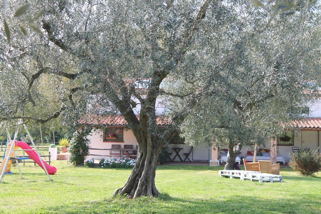 Гостевой дом Borgo S.Maria Di Vulci Монтальто-ди-Кастро Экстерьер фото