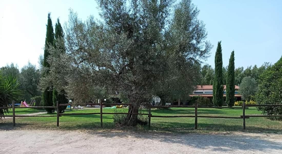 Гостевой дом Borgo S.Maria Di Vulci Монтальто-ди-Кастро Экстерьер фото